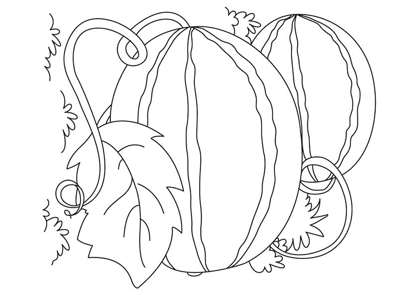 Online coloring book: Coloring book watermelons with leaves
